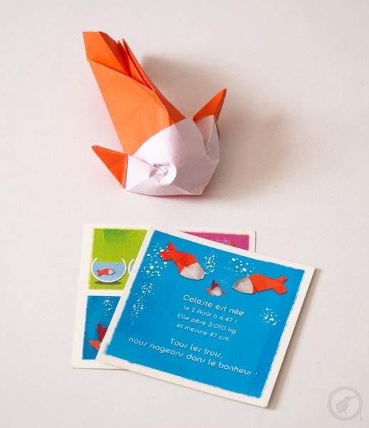 Un faire part de naissance original 00077 Un faire part de naissance original