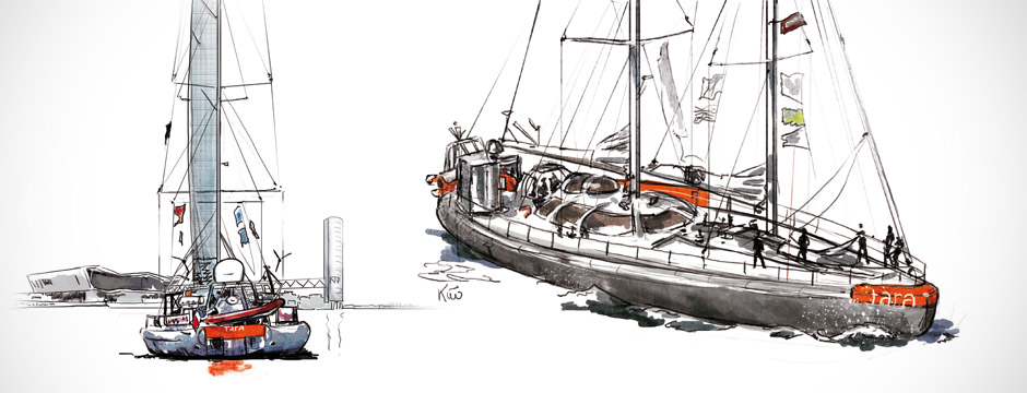 Tara, illustration