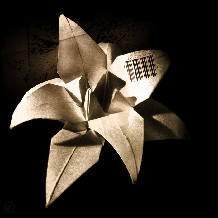 lys origami