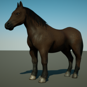 Cheval 3D